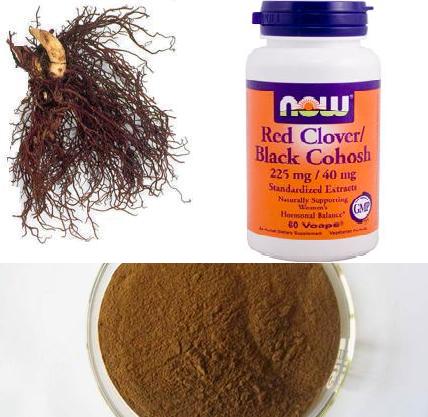 Black Cohosh Extract Powder